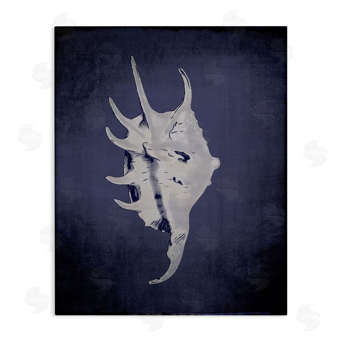 Spider Conch on Indigo Canvas Wall Art, Home Decor by Graffi*tee Studios