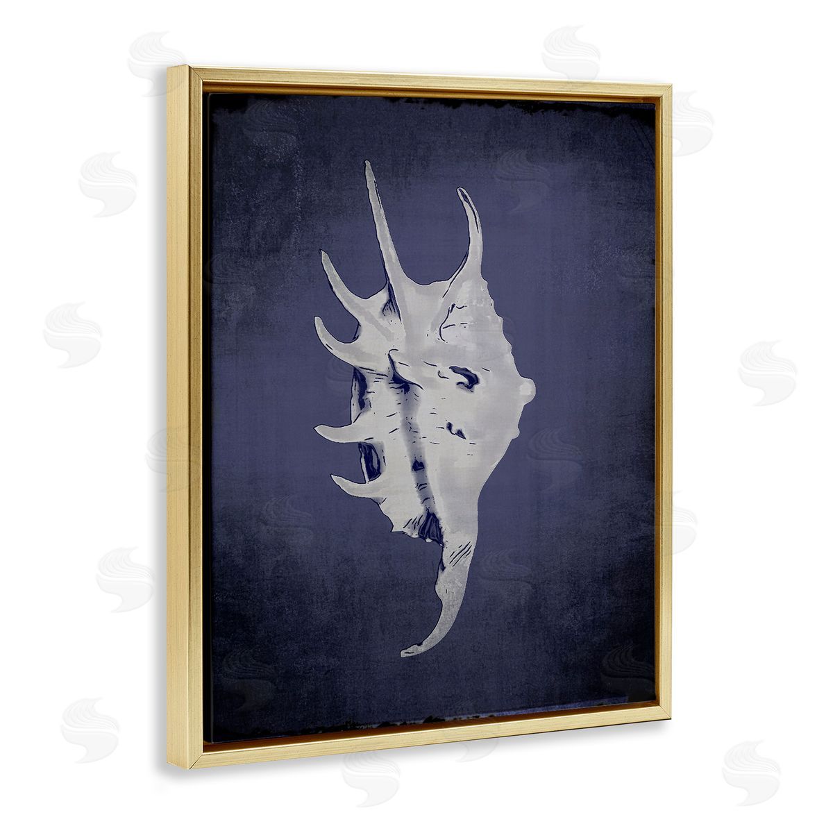 Spider Conch on Indigo Gold Floating Frame Canvas Wall Art, Home Decor by Graffi*tee Studios