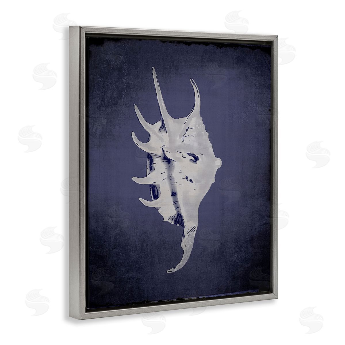 Spider Conch on Indigo Grey Floating Frame Canvas Wall Art, Home Decor by Graffi*tee Studios