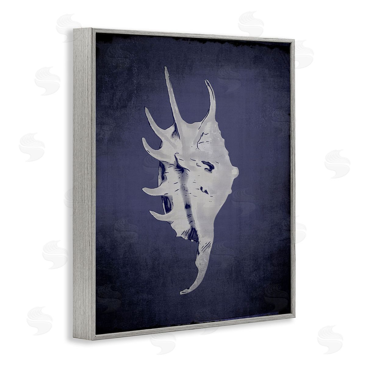 Spider Conch on Indigo Grey Frame Print Wall Art, Home Decor by Graffi*tee Studios