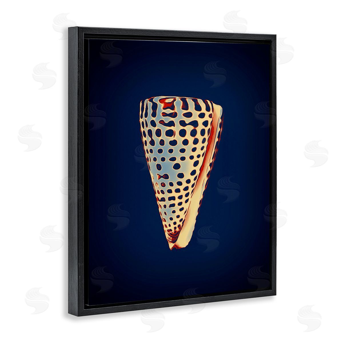 Cone Shell on Blue Black Floating Frame Canvas Wall Art, Home Decor by Graffi*tee Studios