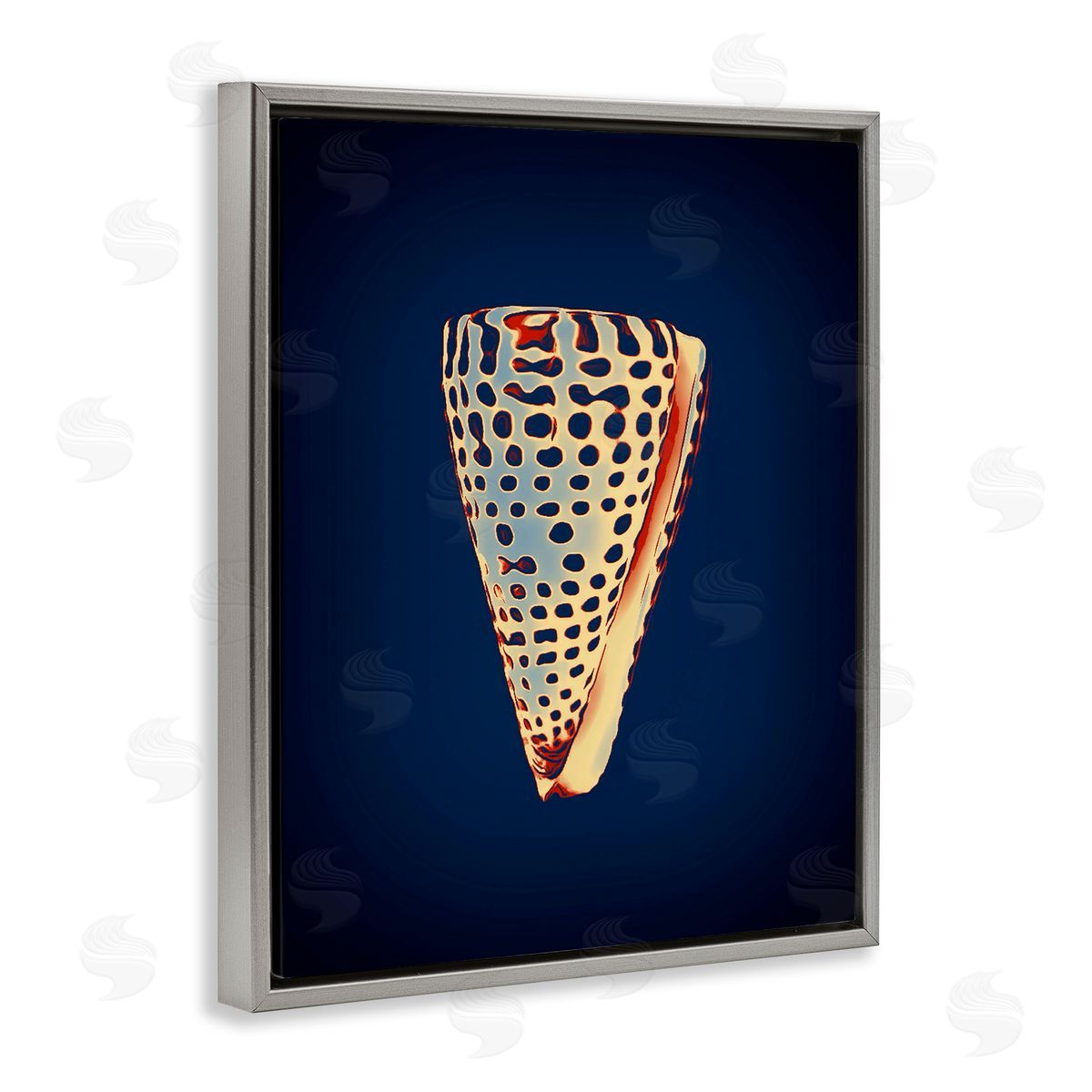 Cone Shell on Blue Grey Floating Frame Canvas Wall Art, Home Decor by Graffi*tee Studios