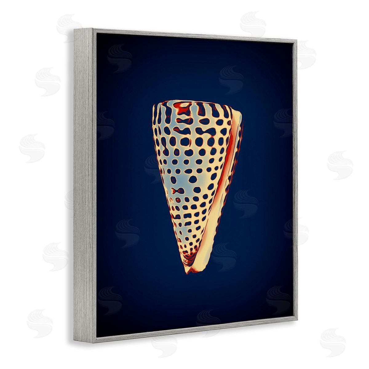 Cone Shell on Blue Grey Frame Print Wall Art, Home Decor by Graffi*tee Studios