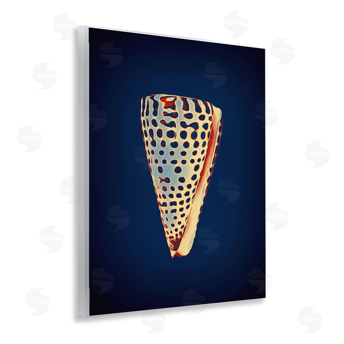 Cone Shell on Blue Wood Plaque Wall Art, Home Decor by Graffi*tee Studios