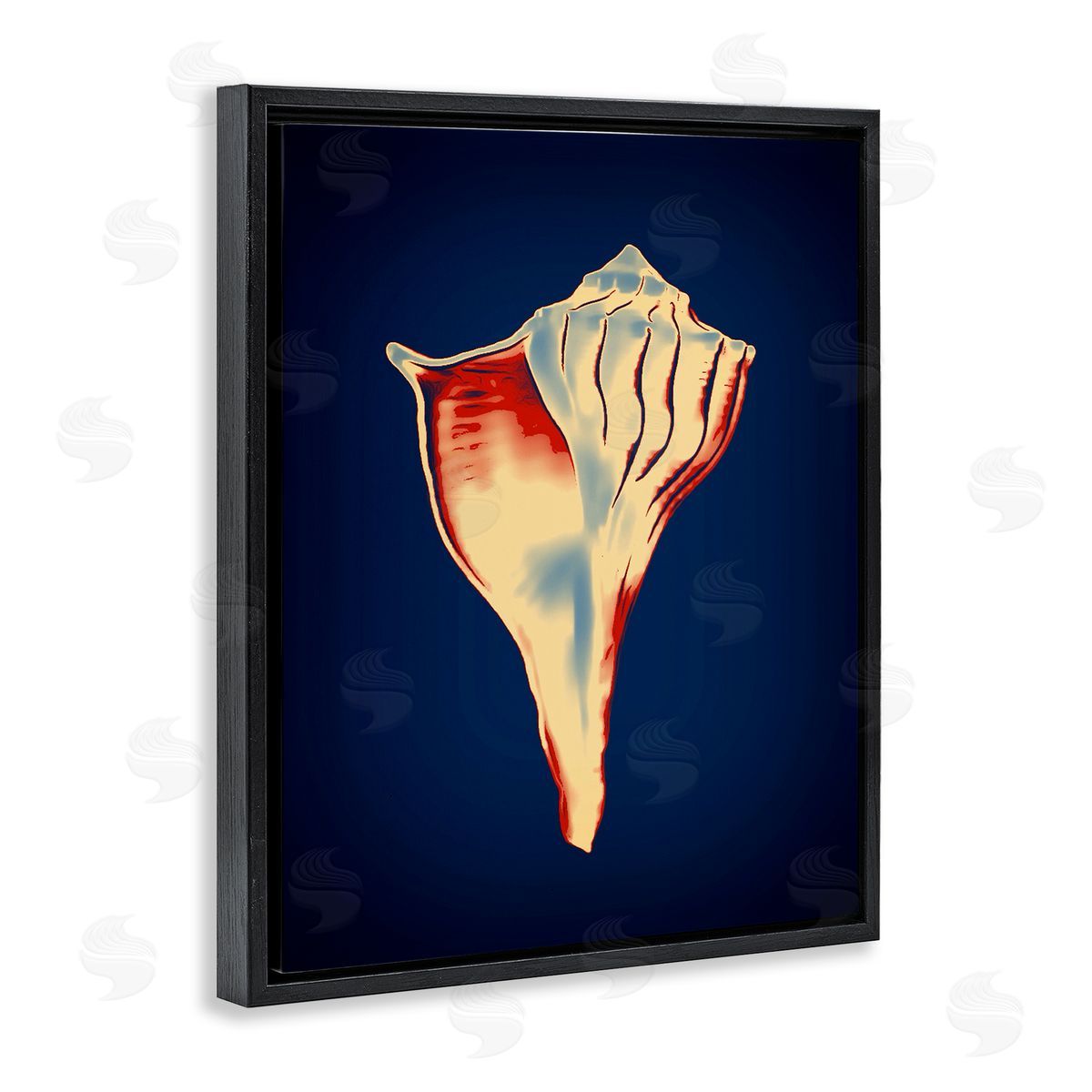Lightning Whelk on Blue Black Floating Frame Canvas Wall Art, Home Decor by Graffi*tee Studios