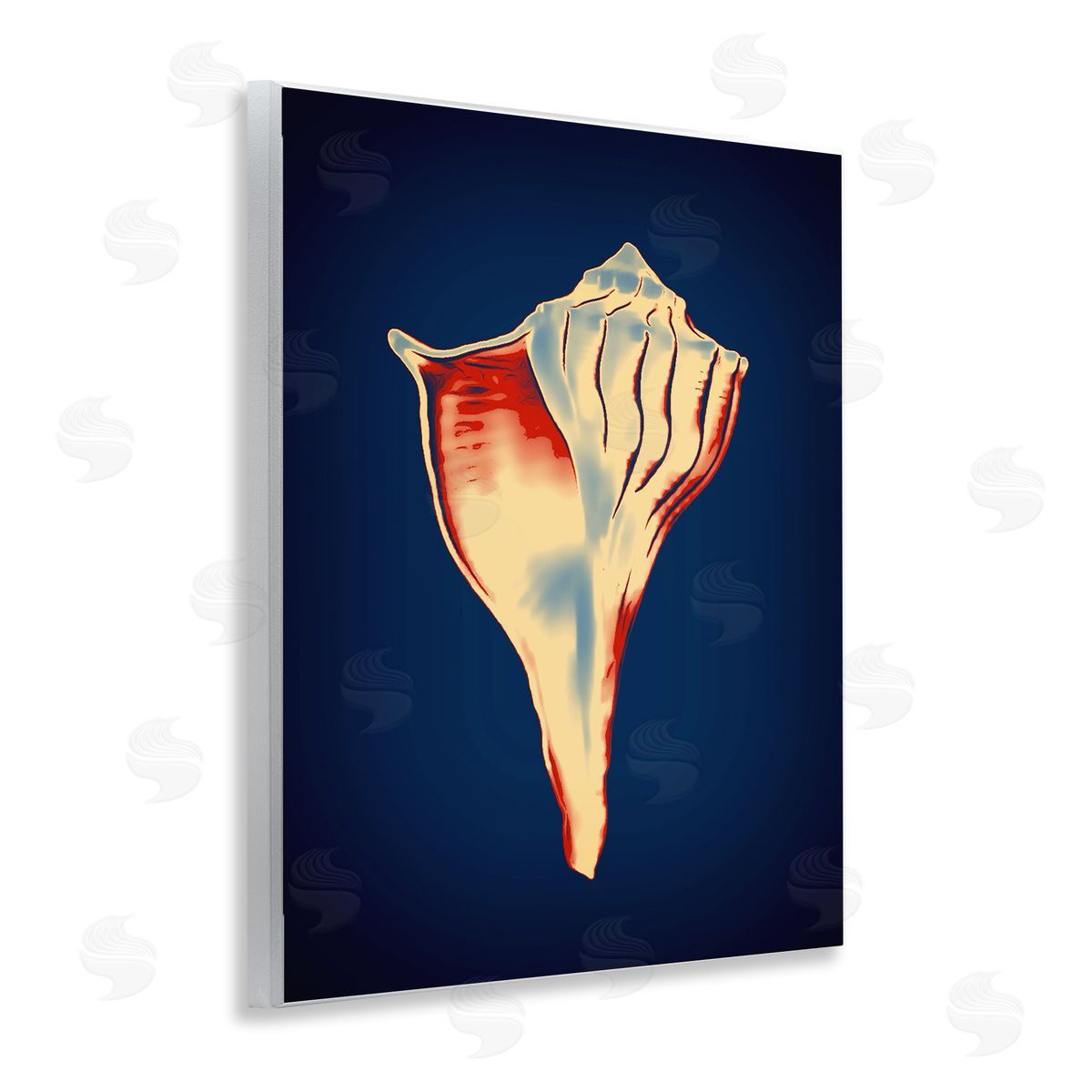 Lightning Whelk on Blue Wood Plaque Wall Art, Home Decor by Graffi*tee Studios