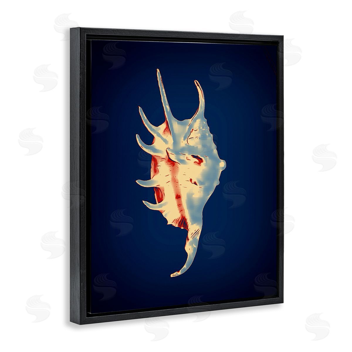 Spider Conch on Blue Black Floating Frame Canvas Wall Art, Home Decor by Graffi*tee Studios