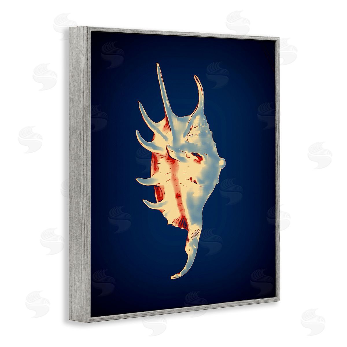 Spider Conch on Blue Grey Frame Print Wall Art, Home Decor by Graffi*tee Studios