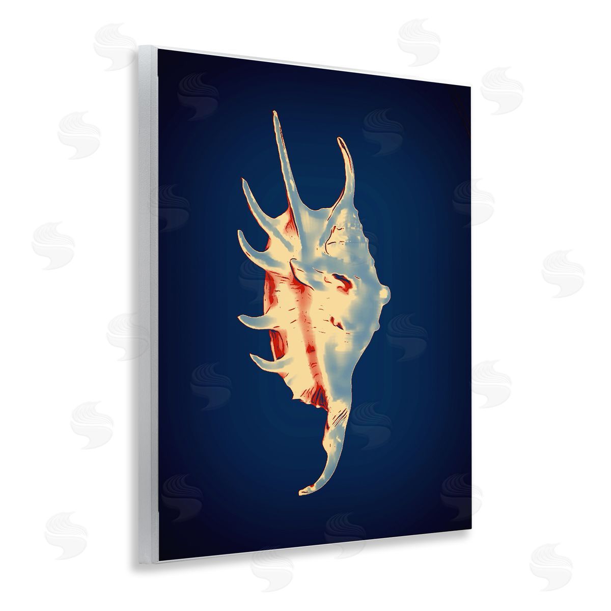 Spider Conch on Blue Wood Plaque Wall Art, Home Decor by Graffi*tee Studios