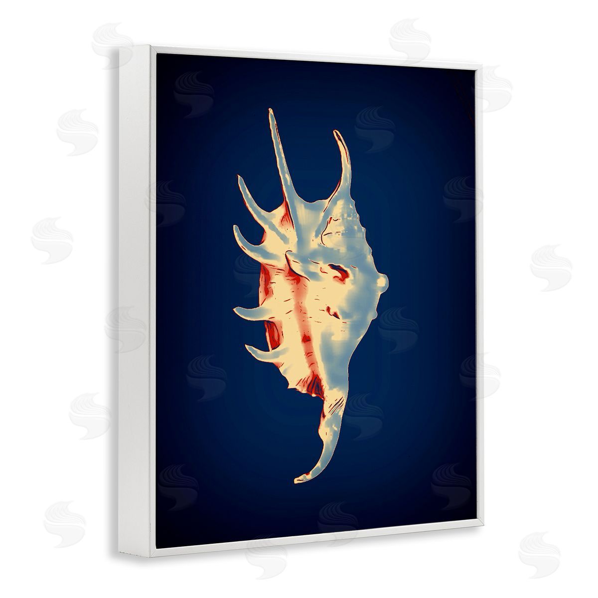 Spider Conch on Blue White Frame Print Wall Art, Home Decor by Graffi*tee Studios