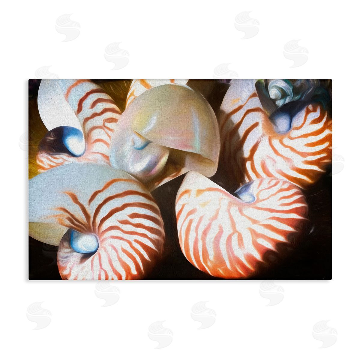 Nautilus Shells Cluster Canvas Wall Art, Home Decor by Graffi*tee Studios