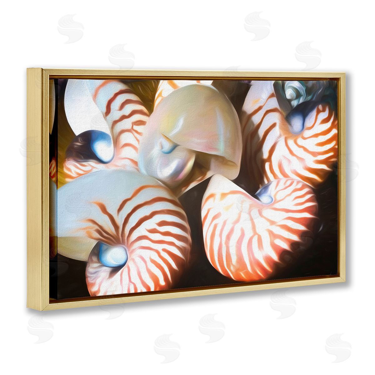 Nautilus Shells Cluster Gold Floating Frame Canvas Wall Art, Home Decor by Graffi*tee Studios
