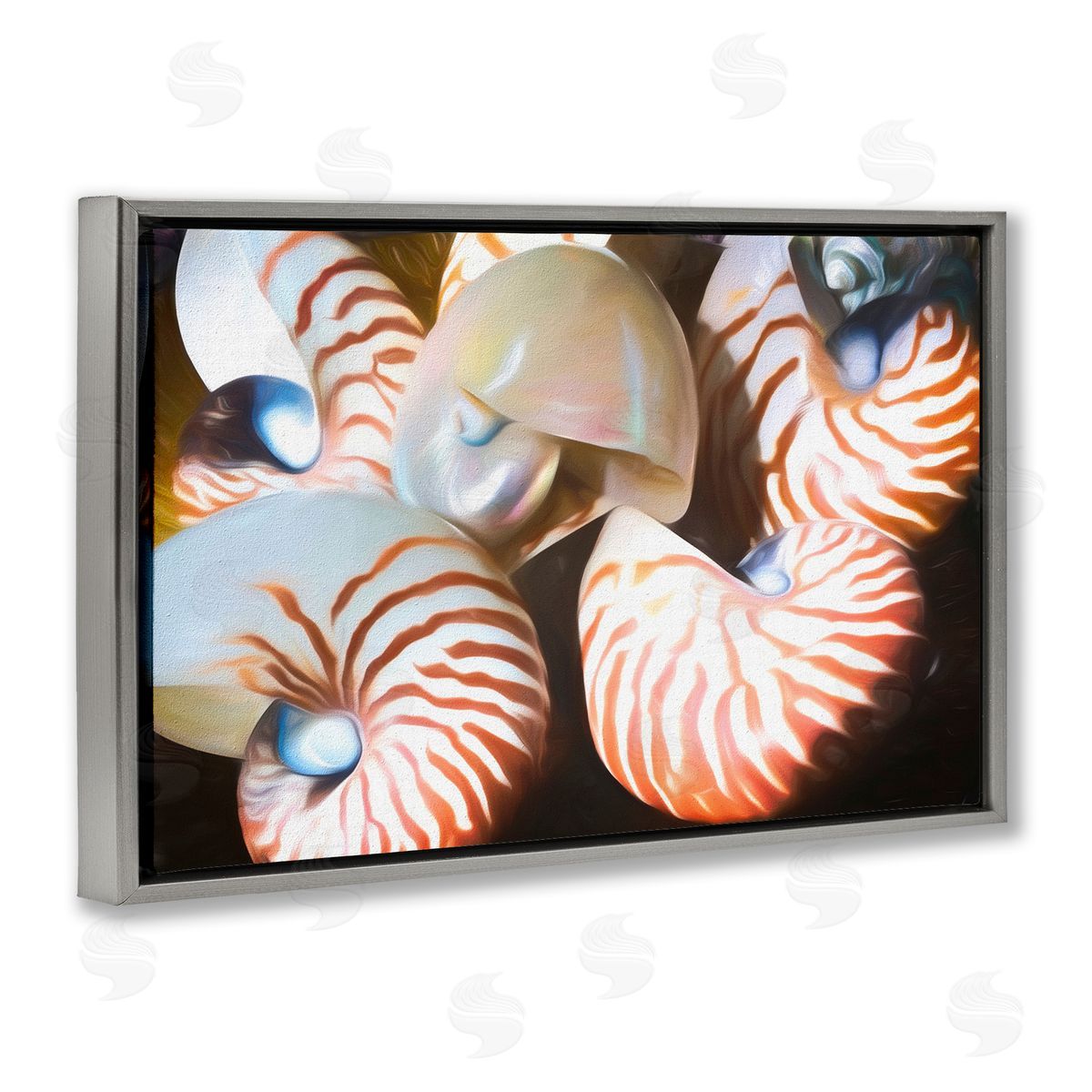 Nautilus Shells Cluster Grey Floating Frame Canvas Wall Art, Home Decor by Graffi*tee Studios