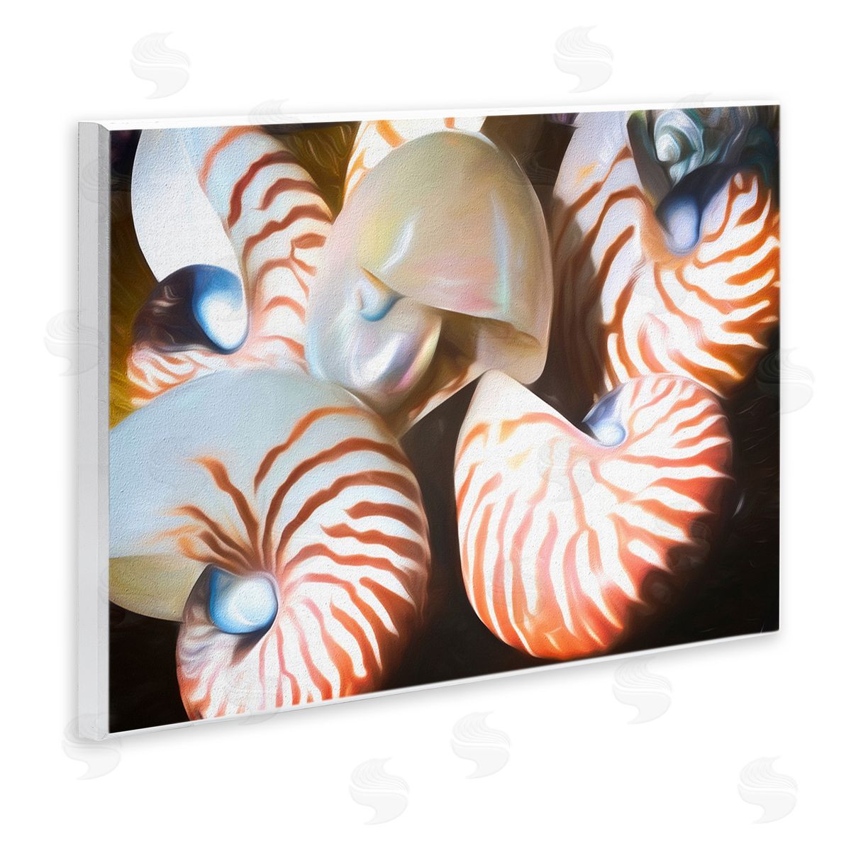 Nautilus Shells Cluster Wood Plaque Wall Art, Home Decor by Graffi*tee Studios