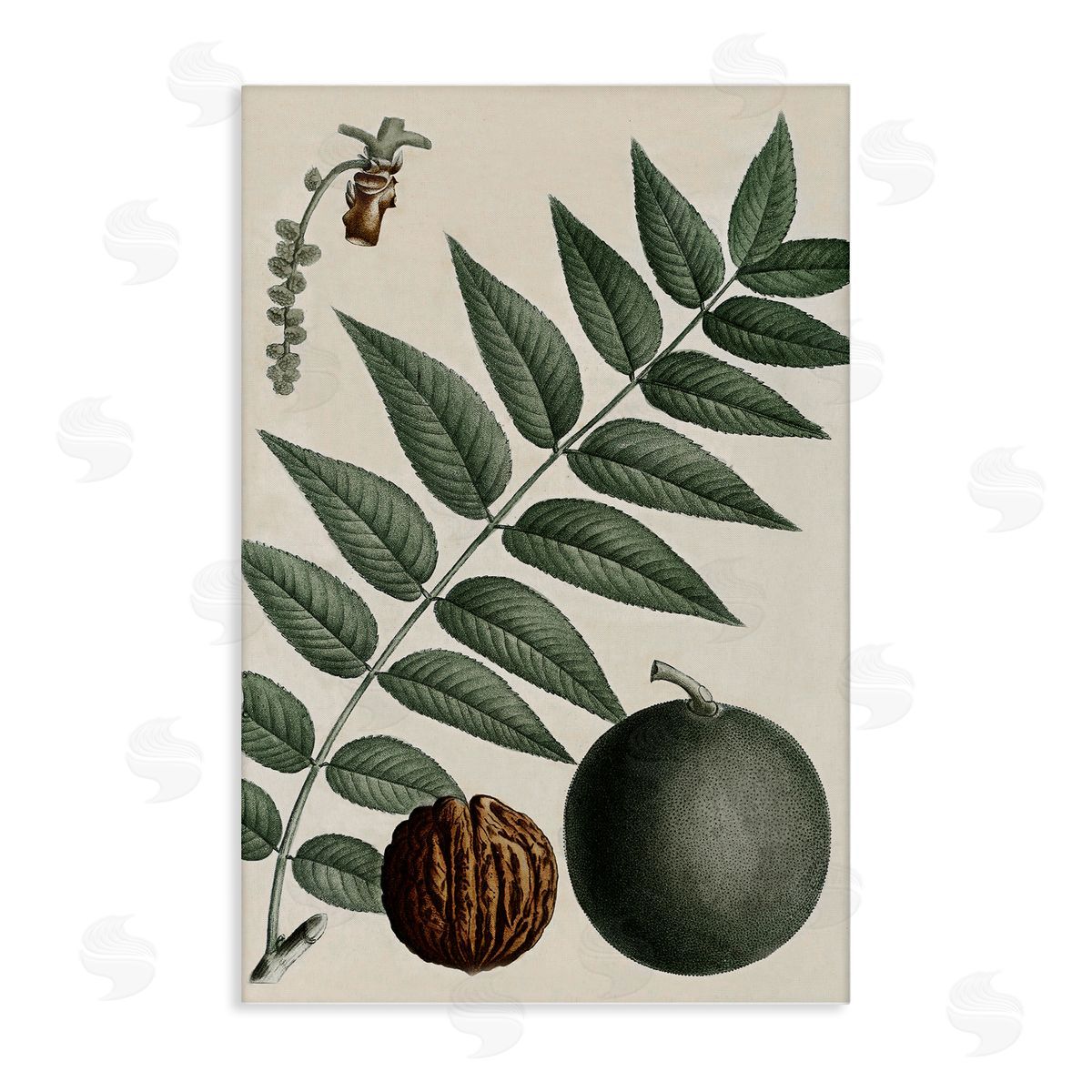 Vintage Walnut & Leaf Canvas Wall Art, Home Decor by Graffi*tee Studios