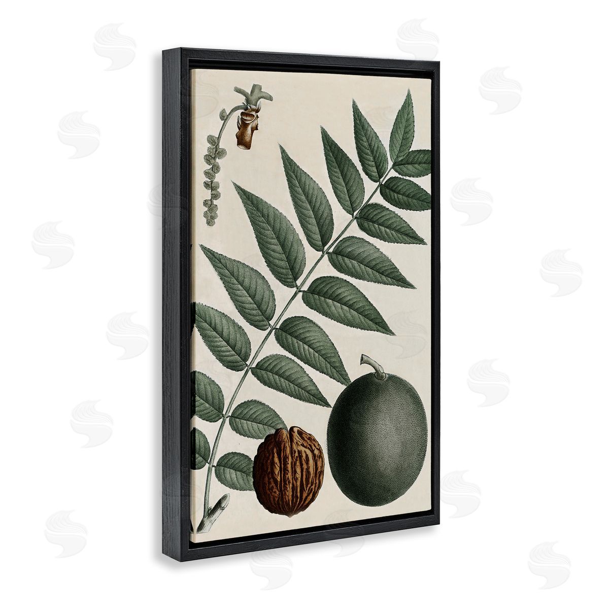 Vintage Walnut & Leaf Black Floating Frame Canvas Wall Art, Home Decor by Graffi*tee Studios