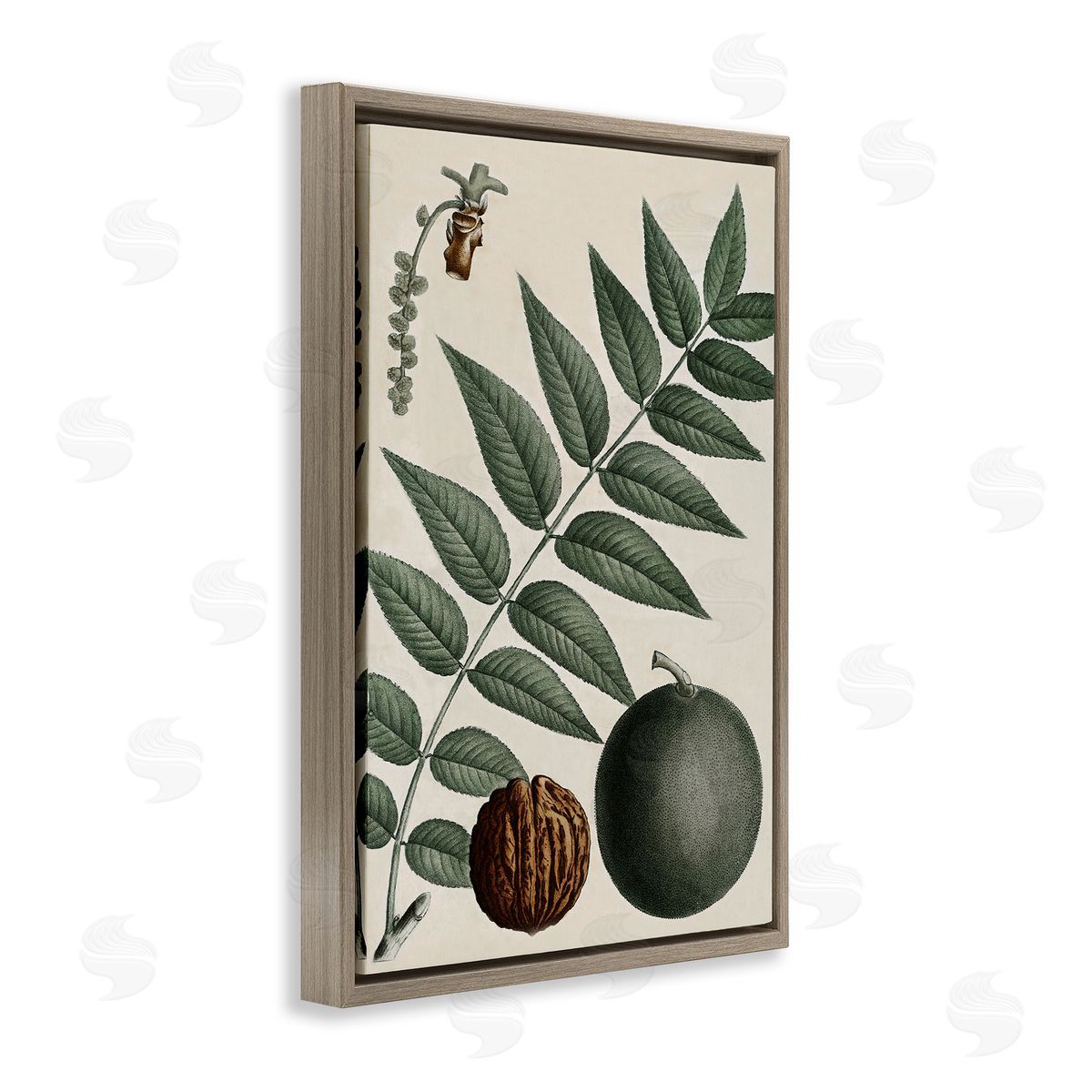 Vintage Walnut & Leaf Brown Floating Frame Canvas Wall Art, Home Decor by Graffi*tee Studios