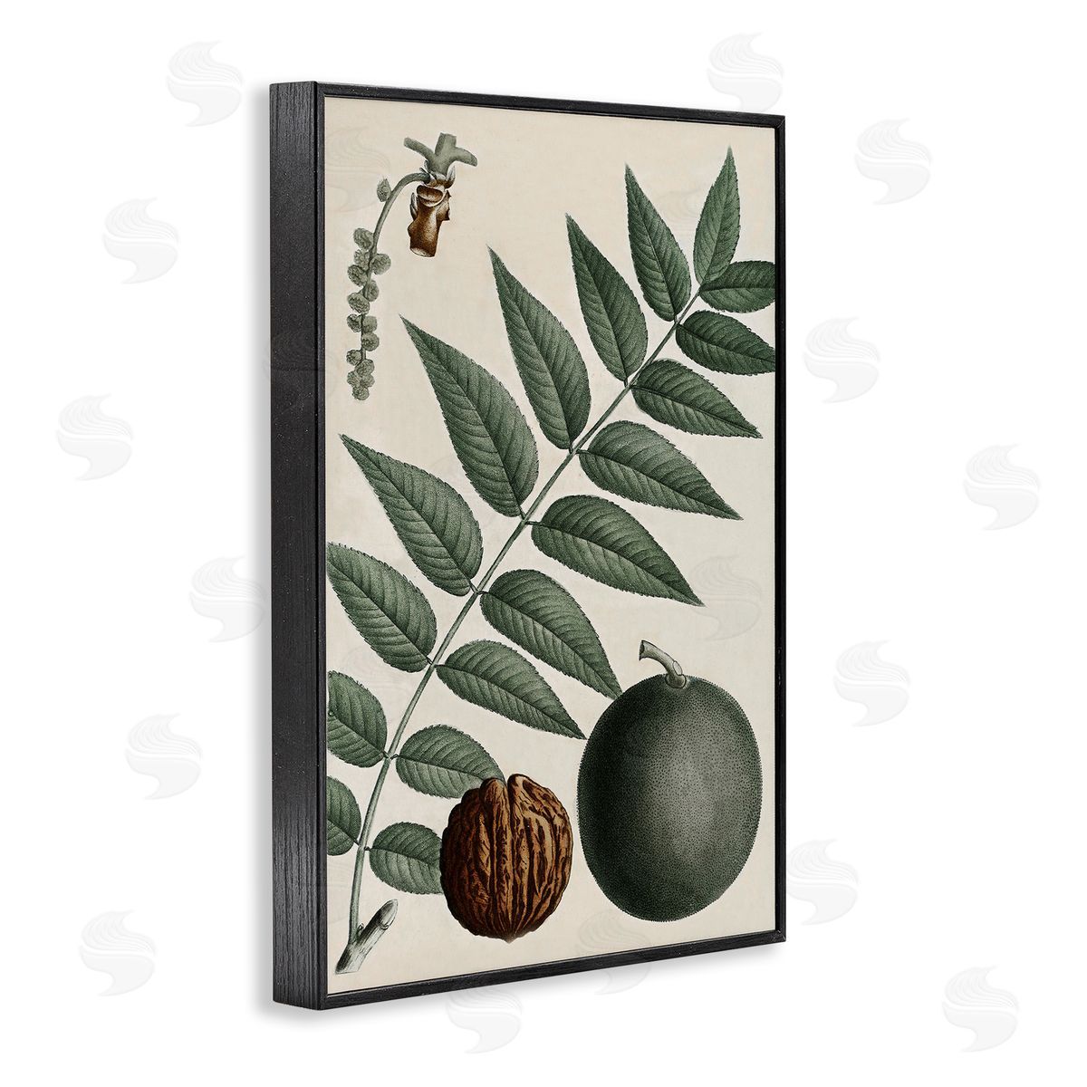Vintage Walnut & Leaf Black Frame Print Wall Art, Home Decor by Graffi*tee Studios