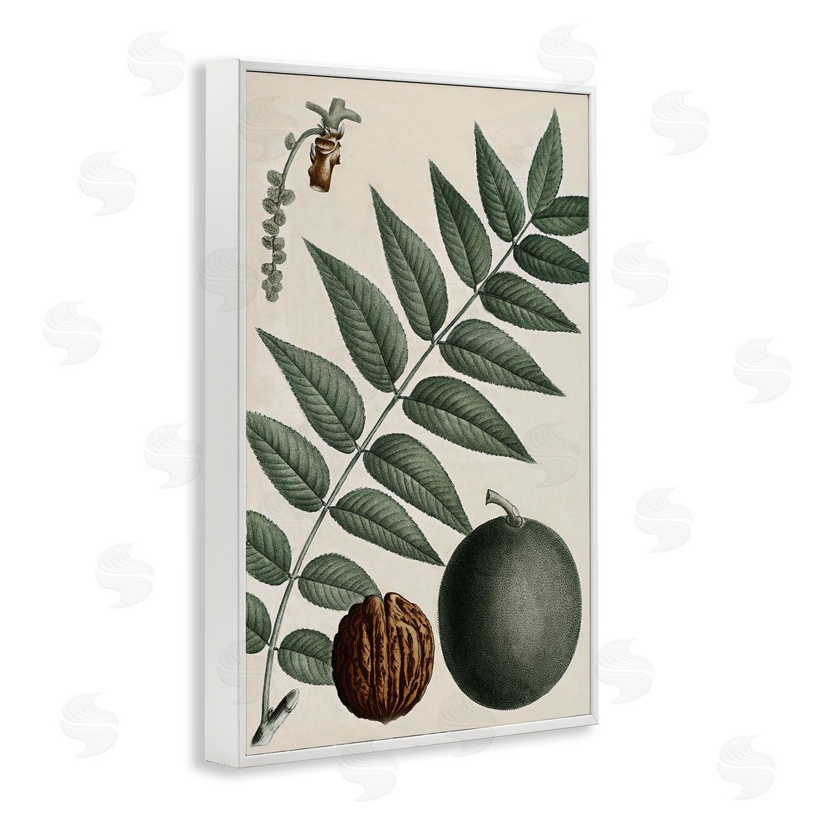 Vintage Walnut & Leaf White Frame Print Wall Art, Home Decor by Graffi*tee Studios