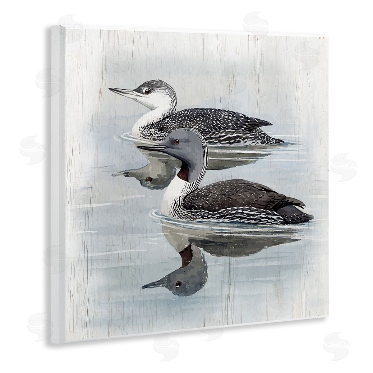 Susan Jill Twin Loons in Water Wooden Wall Plaque Art Print