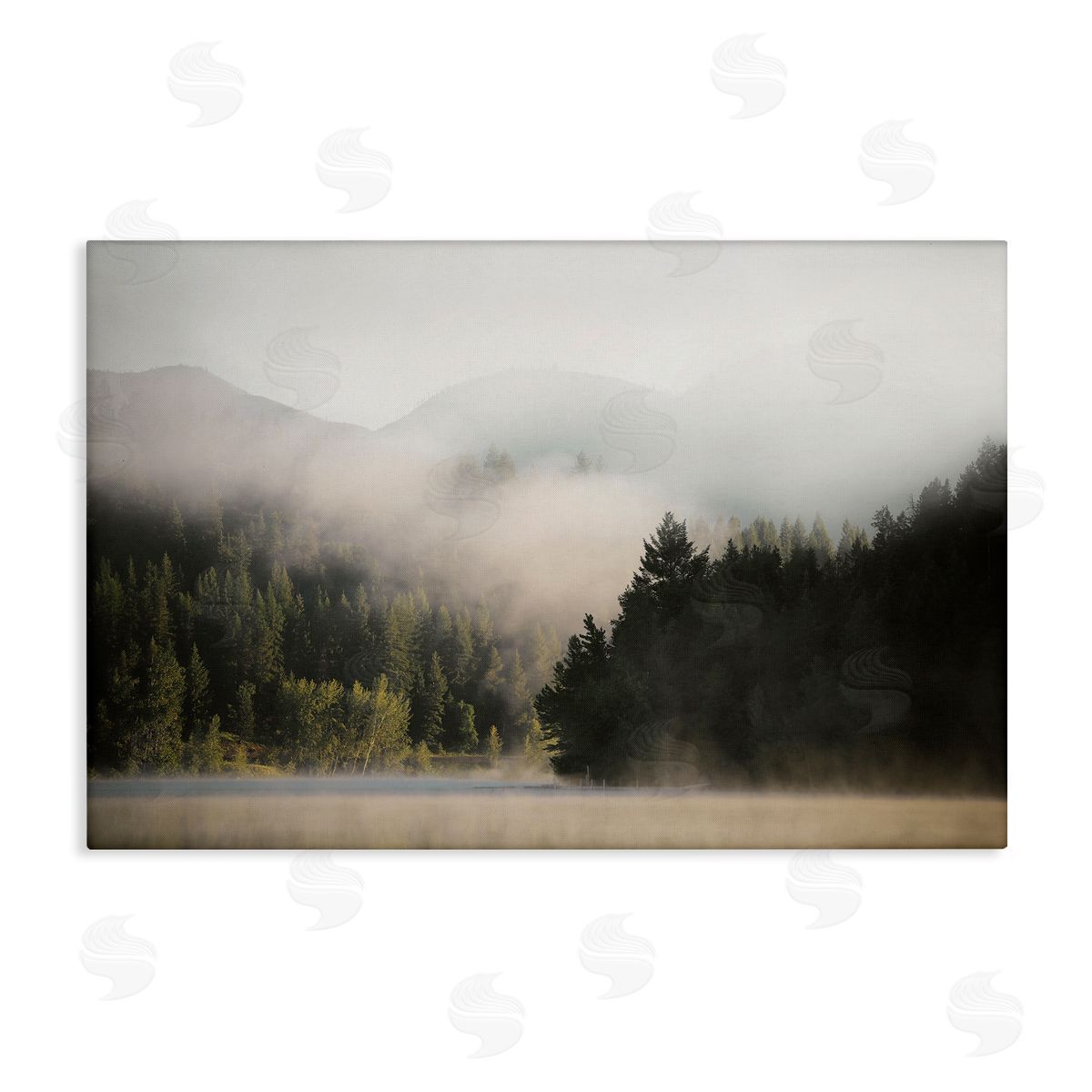 Rolling Fog Woodland View Canvas Wall Art, Home Decor by Carol Robinson