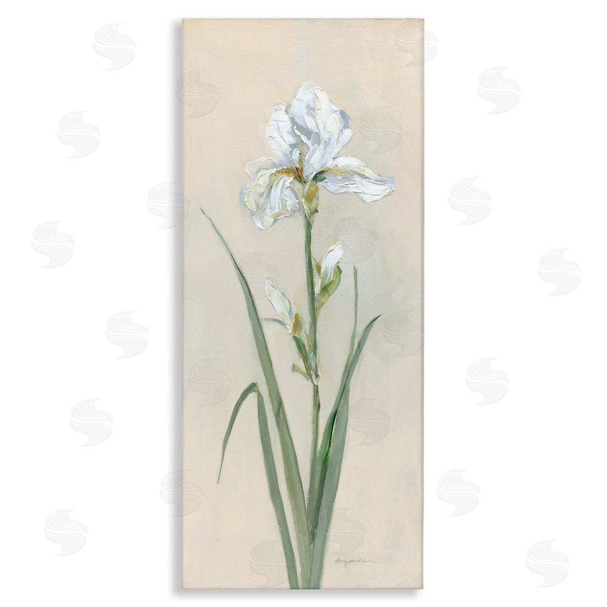 White Iris on Beige Canvas Wall Art, Home Decor by Sally Swatland