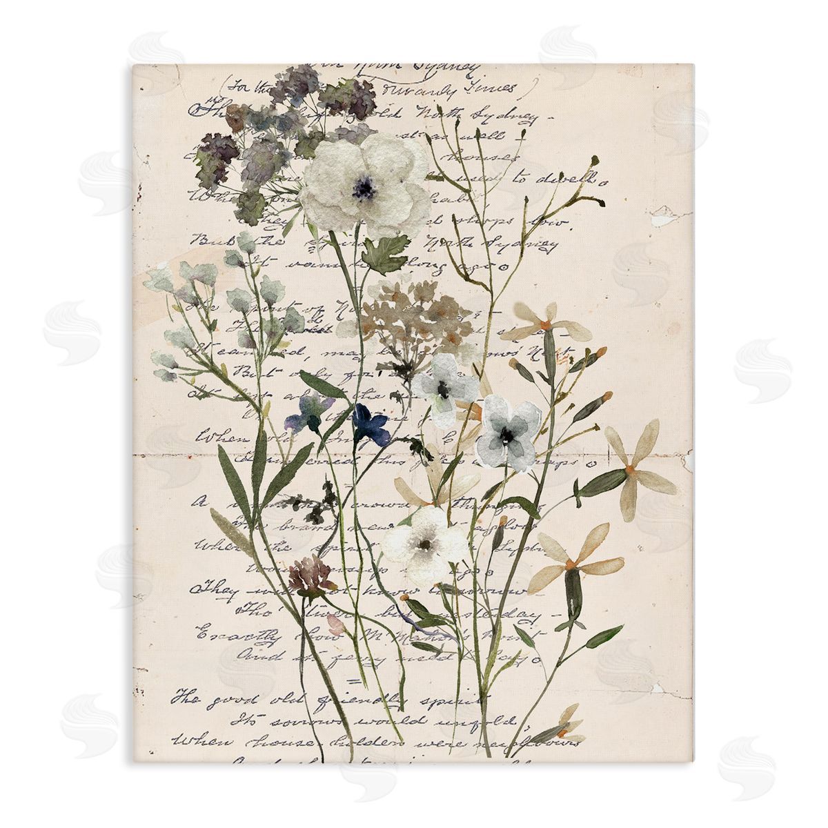 Vintage Pressed Flowers Canvas Wall Art, Home Decor by Carol Robinson
