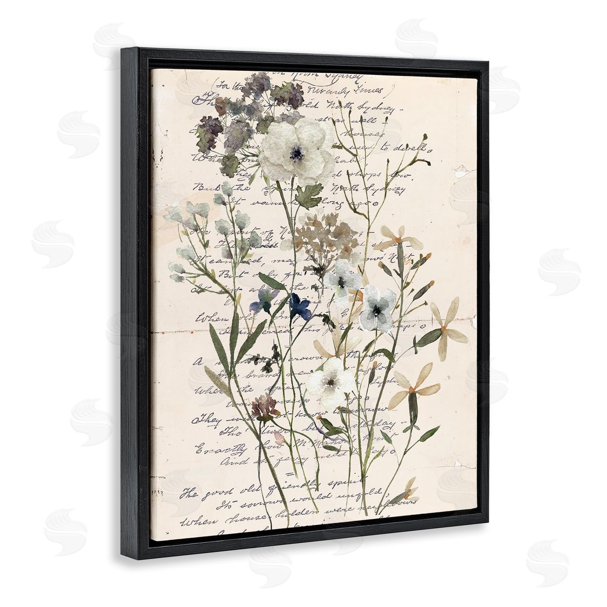 Vintage Pressed Flowers Black Floating Frame Canvas Wall Art, Home Decor by Carol Robinson