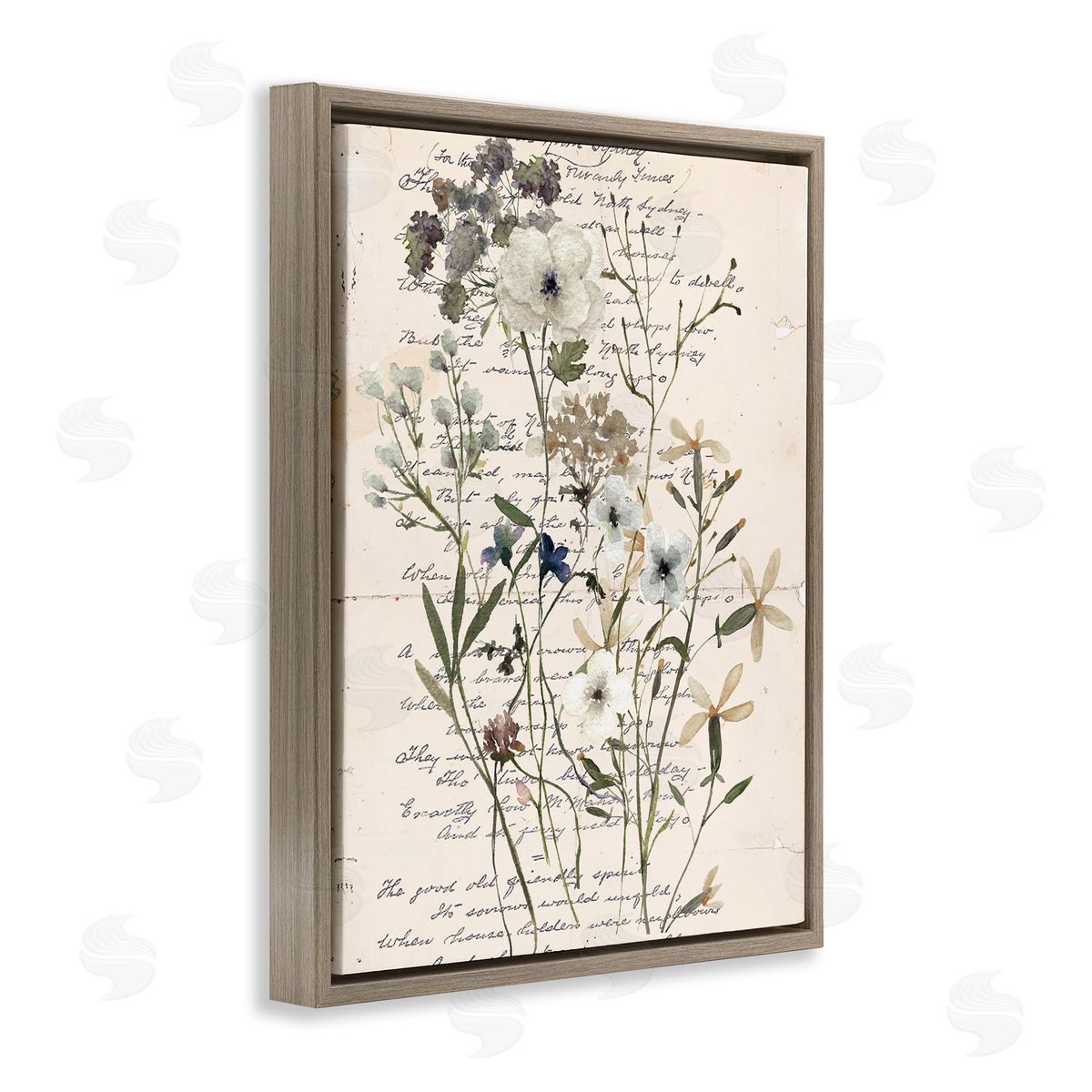 Vintage Pressed Flowers Brown Floating Frame Canvas Wall Art, Home Decor by Carol Robinson