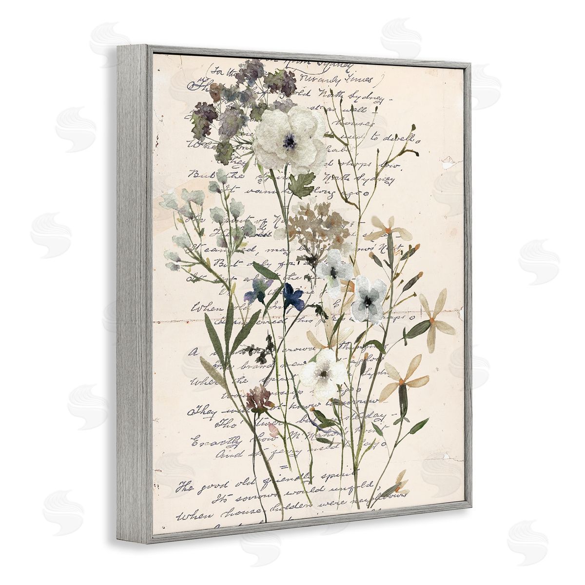 Vintage Pressed Flowers Grey Frame Print Wall Art, Home Decor by Carol Robinson