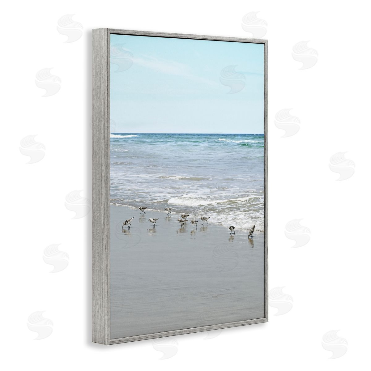 Energetic Beach Birds Grey Frame Print Wall Art, Home Decor by Natalie Carpentieri