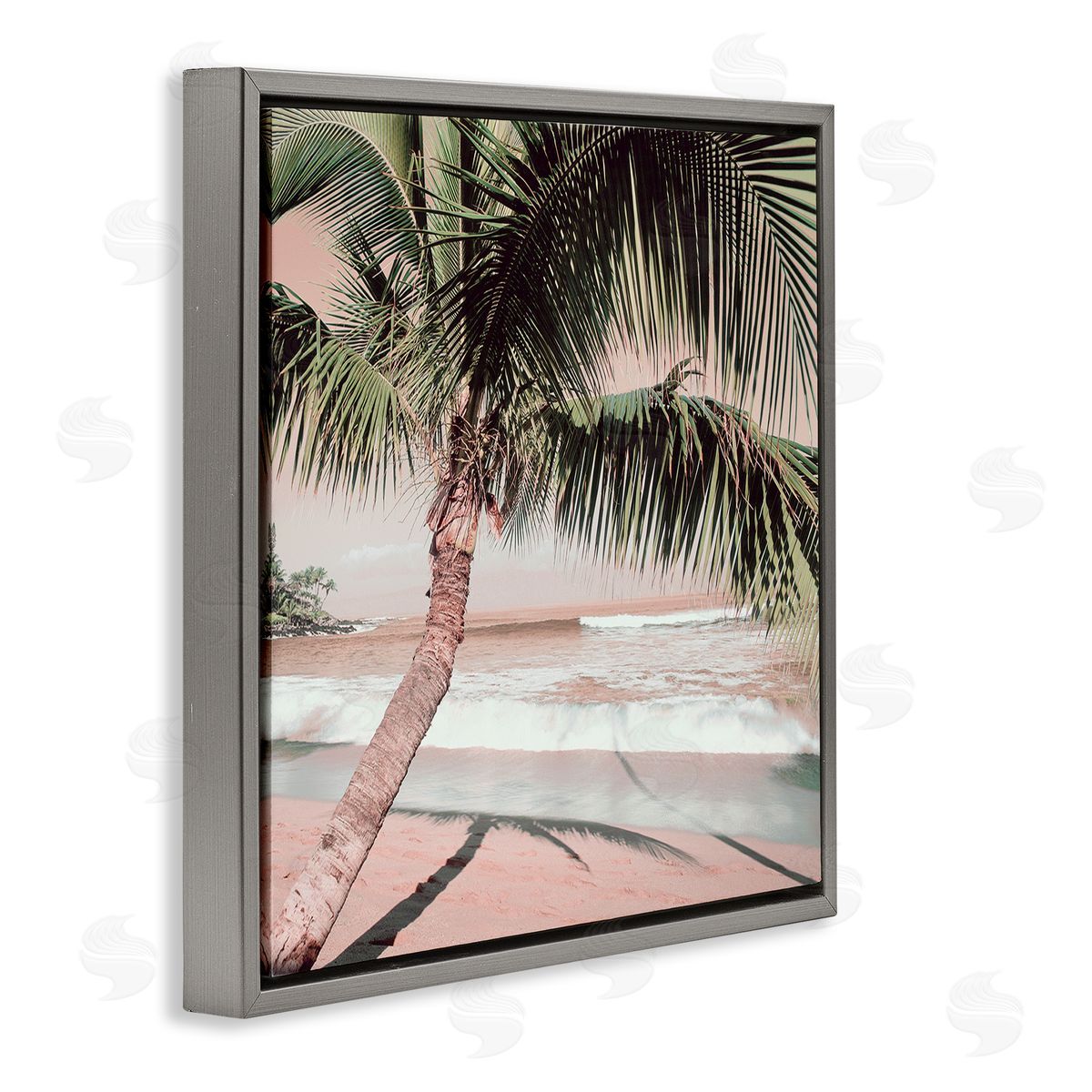 Danita Delimont Palm Tree Shadow on Sand Gray Floating Frame Canvas Wall Art Print