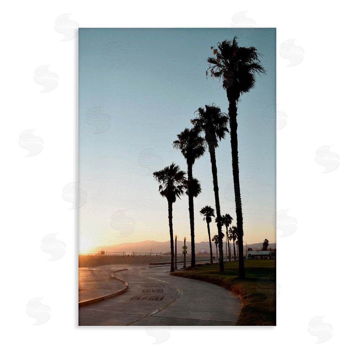 Clear Day Palm Trees Canvas Wall Art, Home Decor by Natalie Carpentieri
