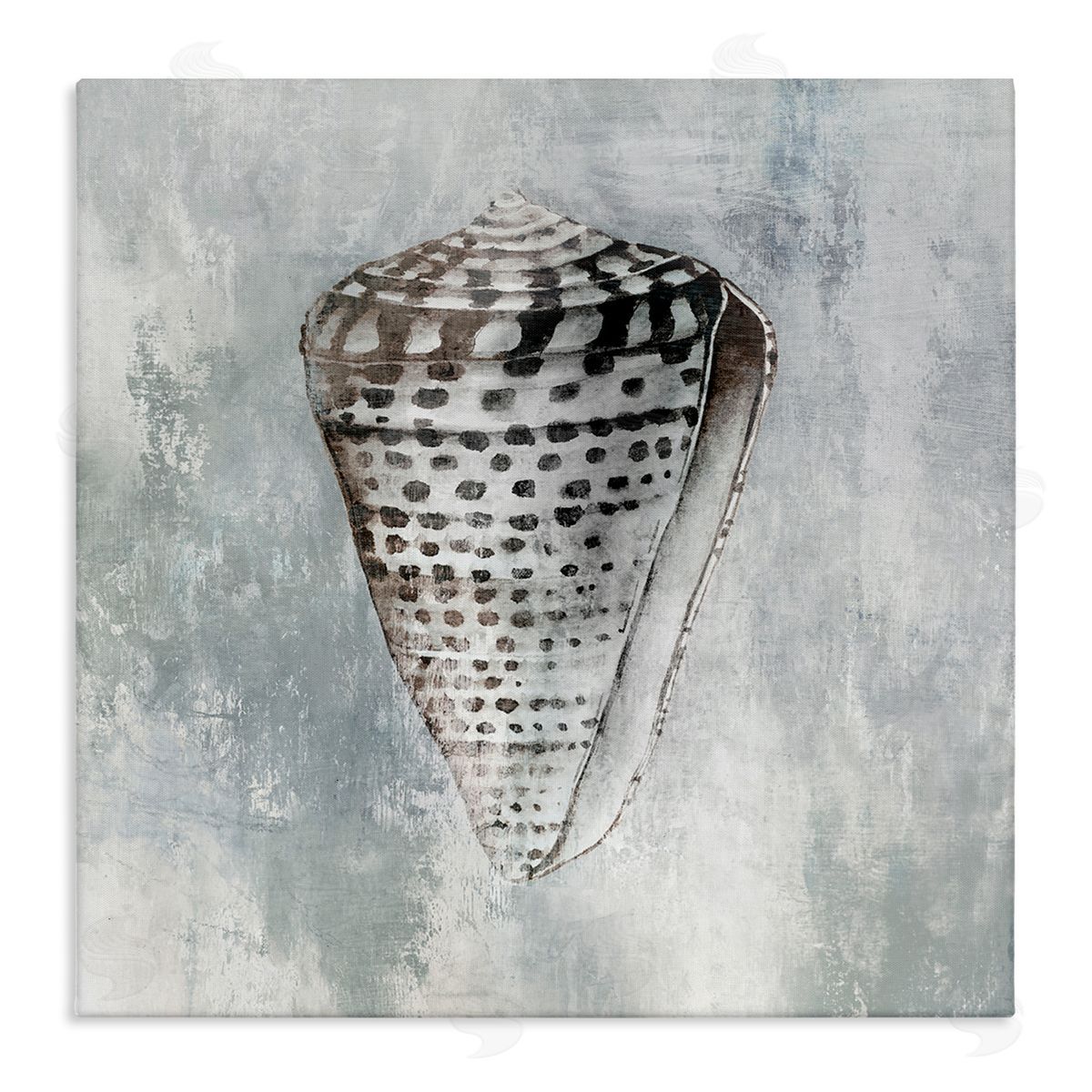 Organic Cowrie Shell Canvas Wall Art, Home Decor by Eli Jones