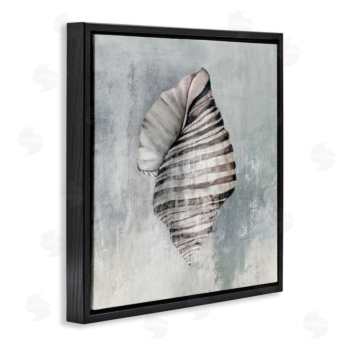 Organic Twisted Seashell Black Floating Frame Canvas Wall Art, Home Decor by Eli Jones