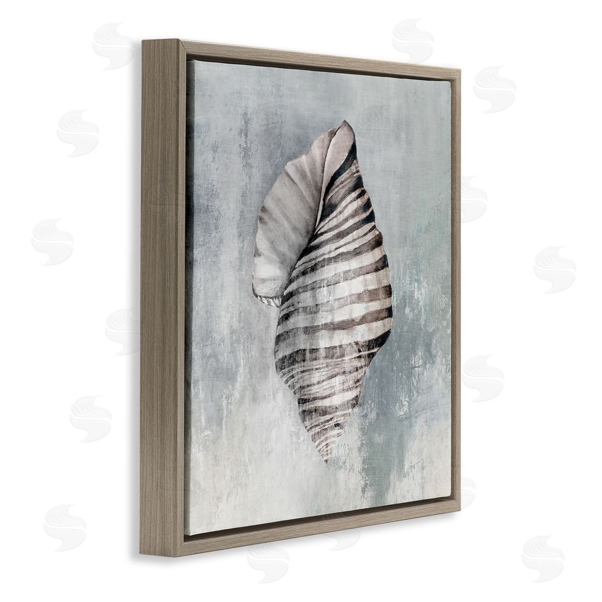 Organic Twisted Seashell Brown Floating Frame Canvas Wall Art, Home Decor by Eli Jones