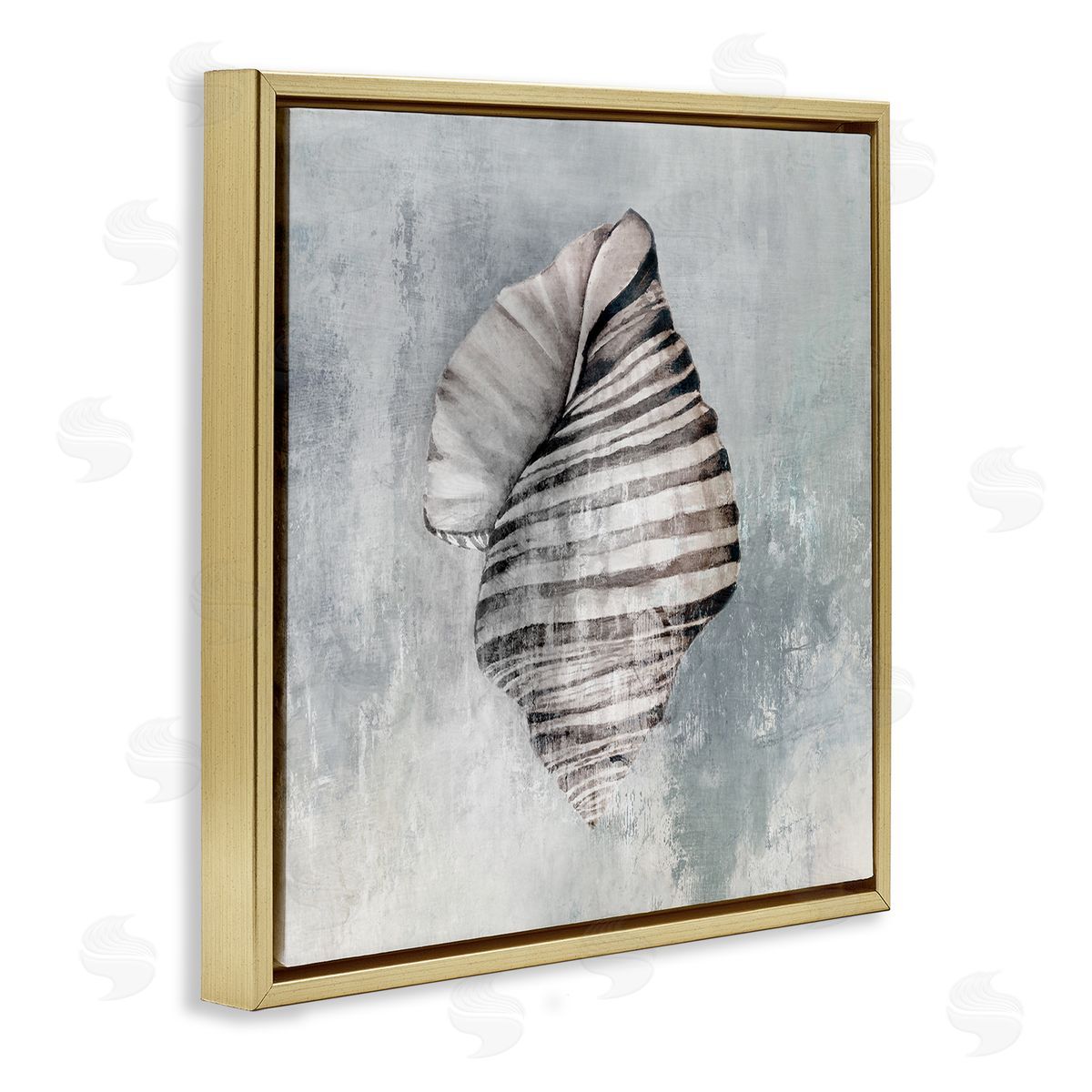 Organic Twisted Seashell Gold Floating Frame Canvas Wall Art, Home Decor by Eli Jones