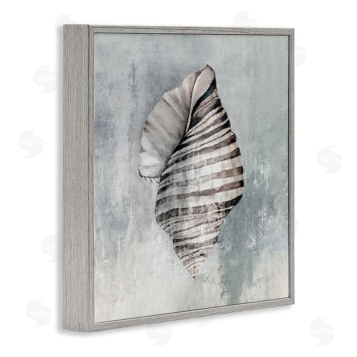 Organic Twisted Seashell Grey Frame Print Wall Art, Home Decor by Eli Jones