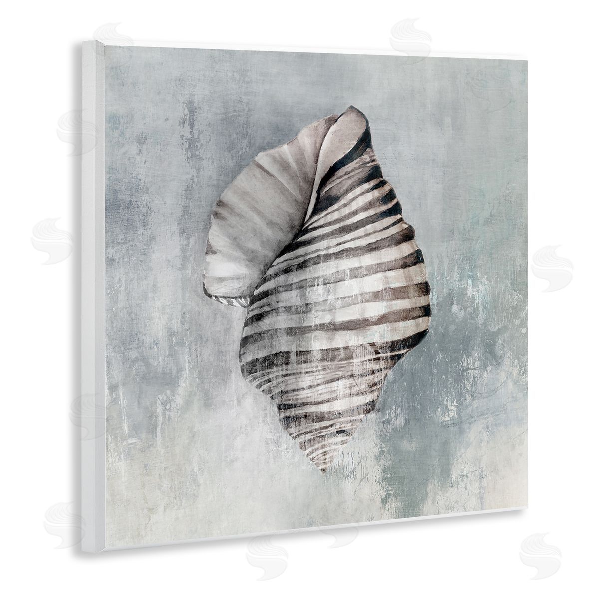 Organic Twisted Seashell Wood Plaque Wall Art, Home Decor by Eli Jones