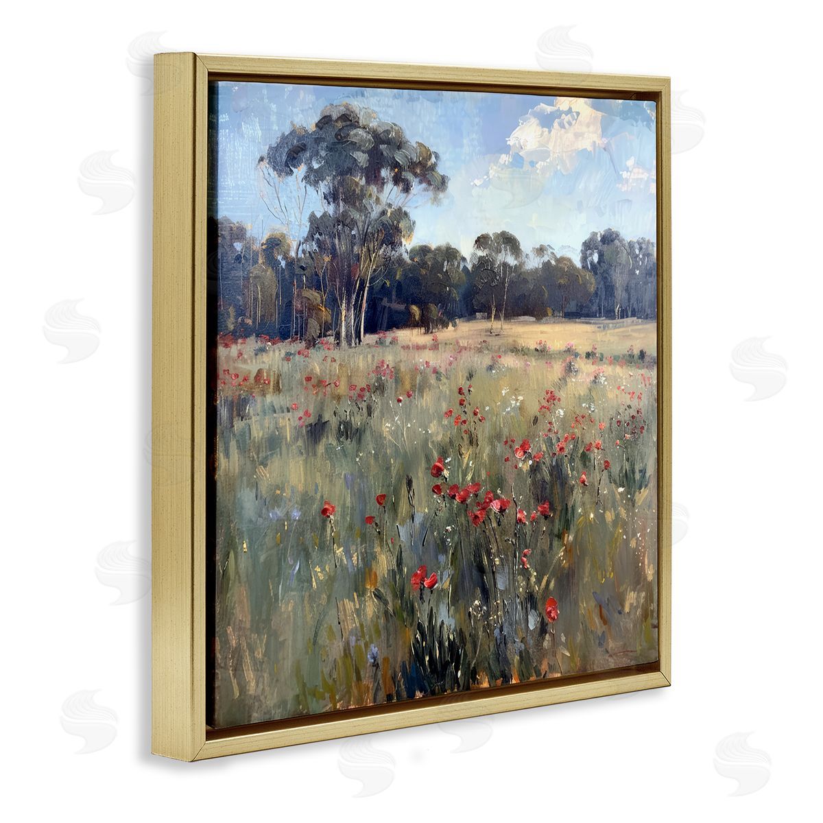 Poppies in Vast Field Gold Floating Frame Canvas Wall Art, Home Decor by Raymond Powers