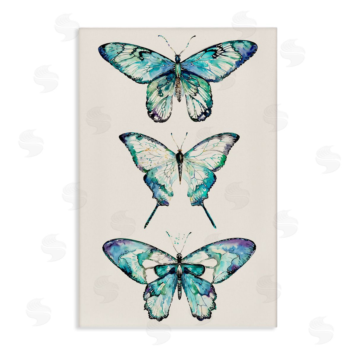 Classic Butterfly Specimens Canvas Wall Art, Home Decor by Christine Zalewski