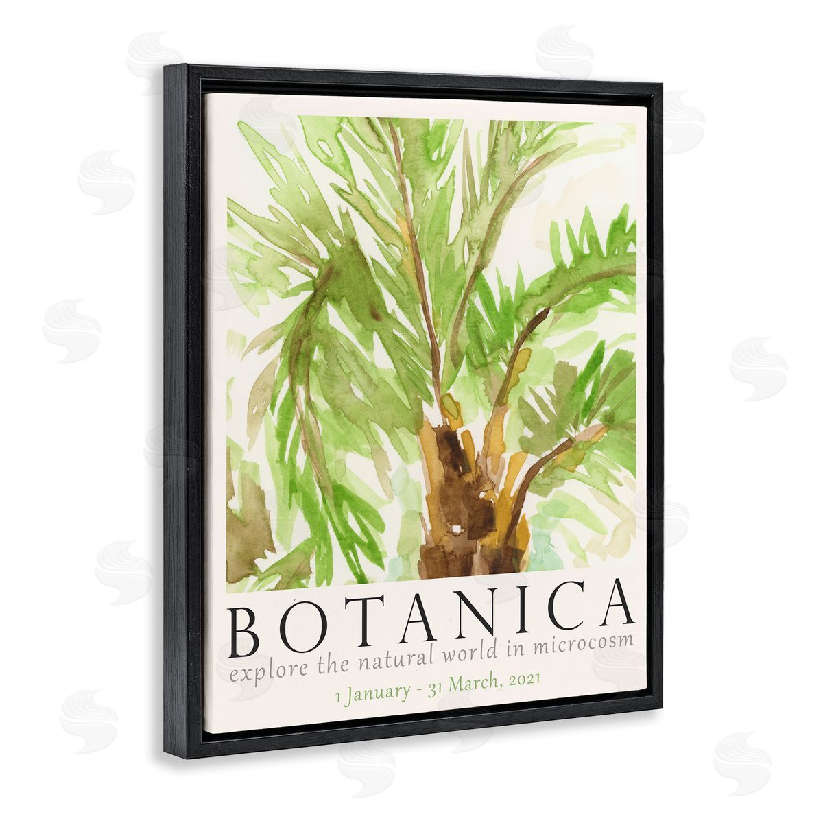 Botanica Poster Palm Tree Black Floating Frame Canvas Wall Art, Home Decor by June Erica Vess