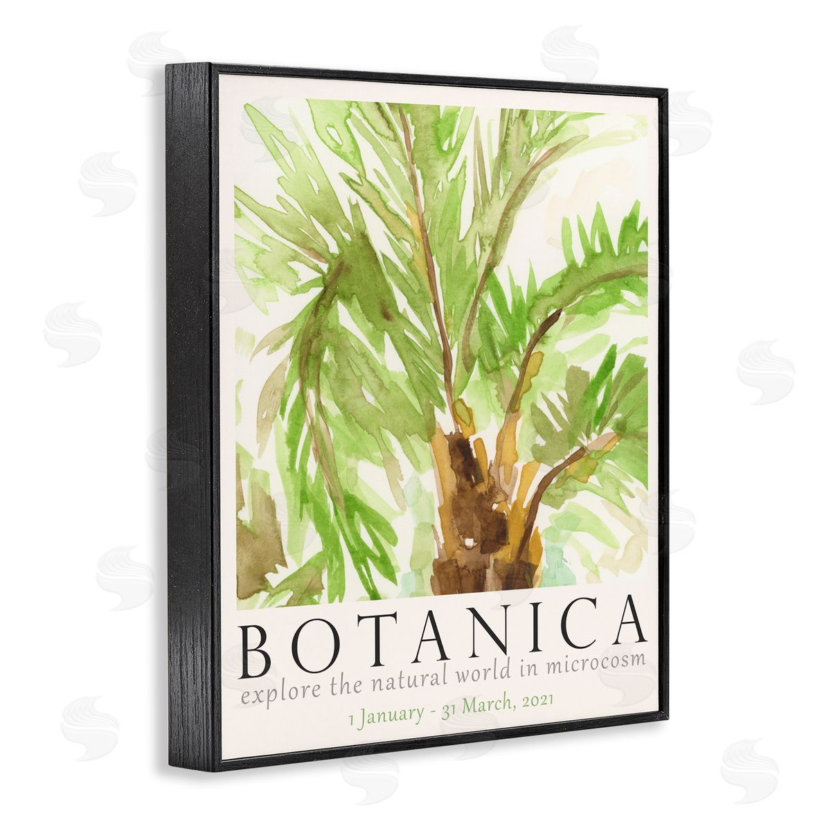 Botanica Poster Palm Tree Black Frame Print Wall Art, Home Decor by June Erica Vess