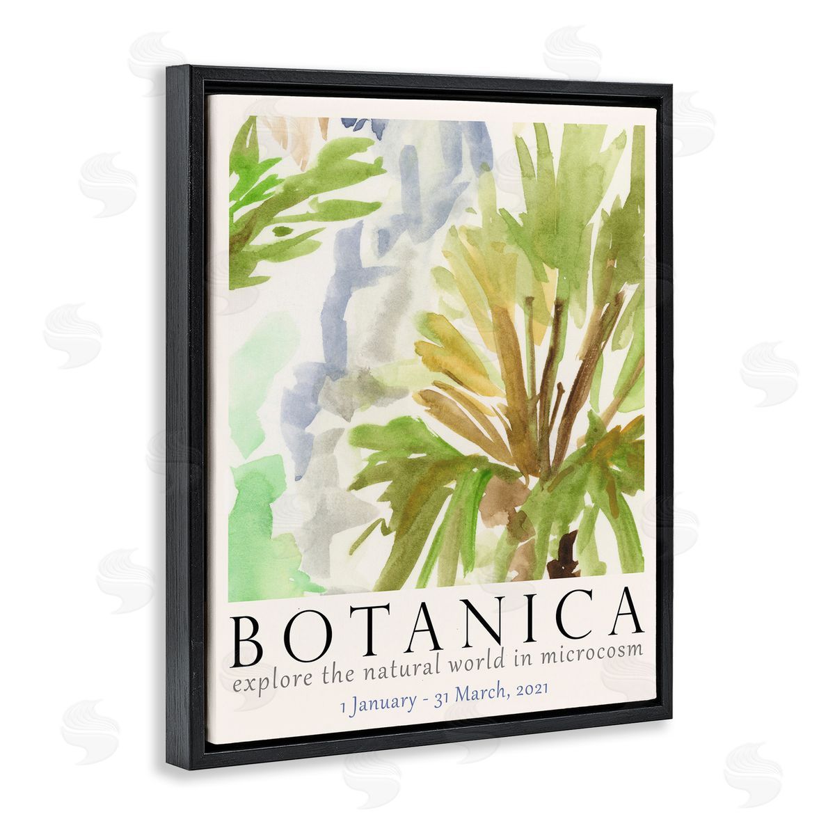 Botanica Museum Poster Black Floating Frame Canvas Wall Art, Home Decor by June Erica Vess