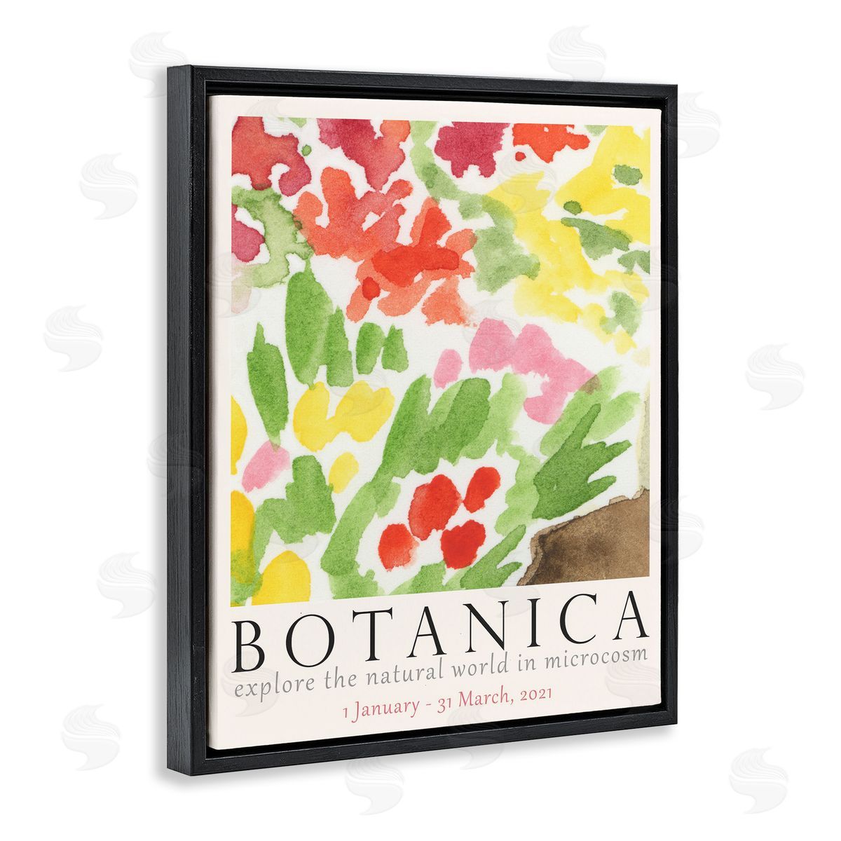 Botanica Floral Museum Black Floating Frame Canvas Wall Art, Home Decor by June Erica Vess