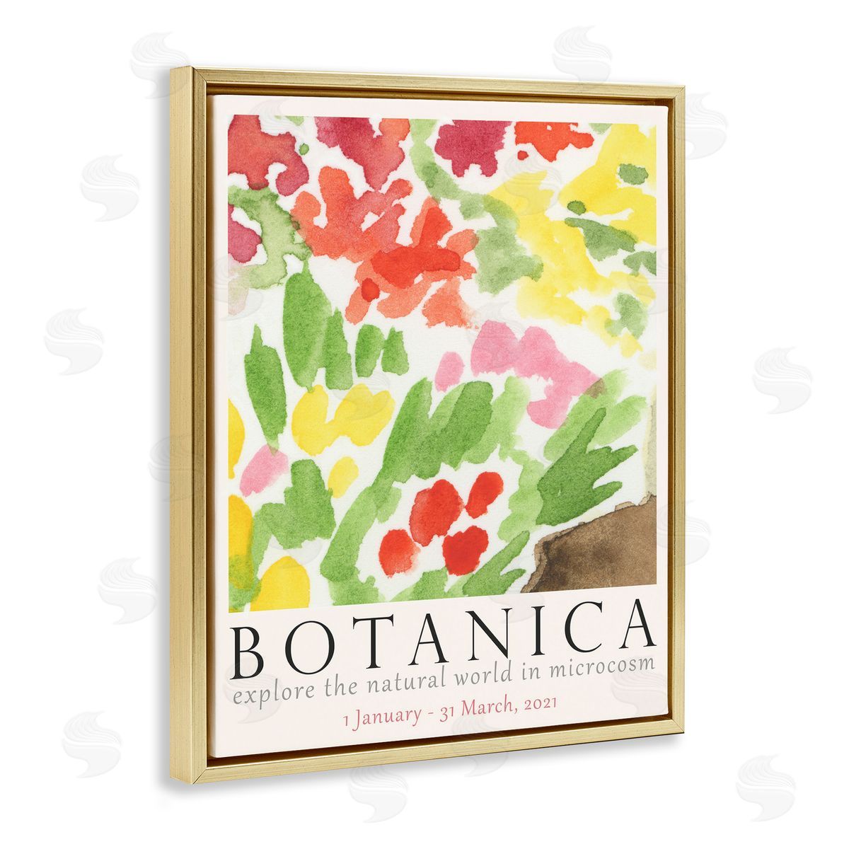 Botanica Floral Museum Gold Floating Frame Canvas Wall Art, Home Decor by June Erica Vess