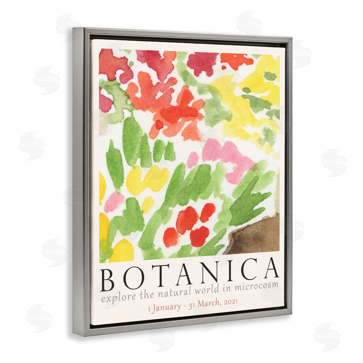 Botanica Floral Museum Grey Floating Frame Canvas Wall Art, Home Decor by June Erica Vess