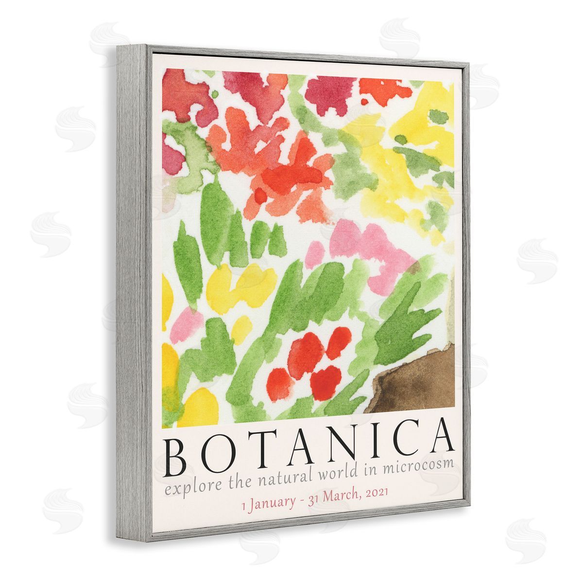 Botanica Floral Museum Grey Frame Print Wall Art, Home Decor by June Erica Vess