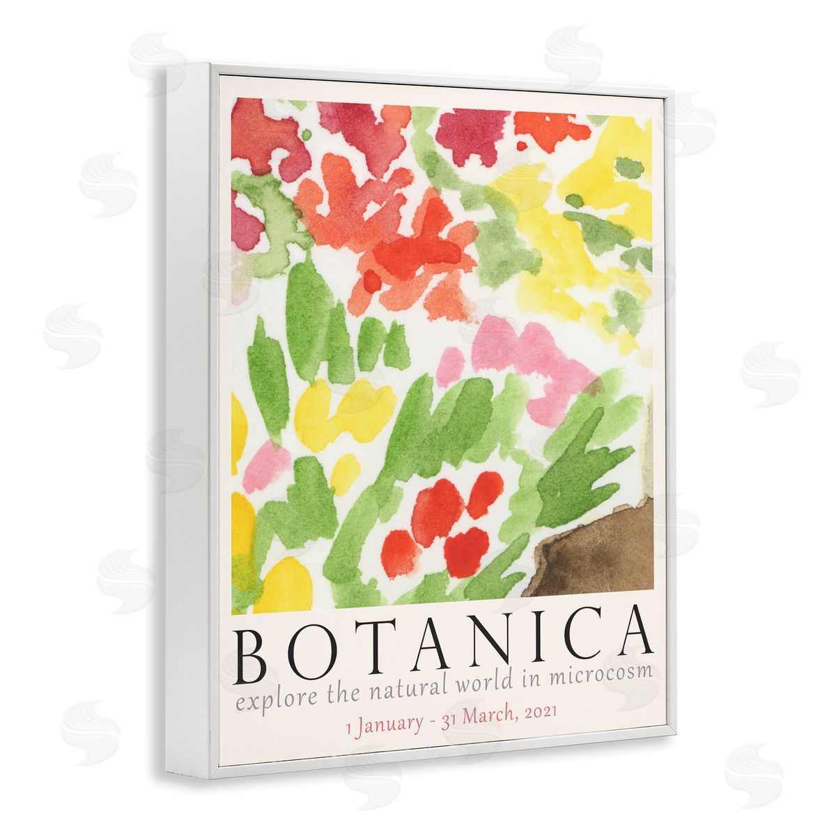 Botanica Floral Museum White Frame Print Wall Art, Home Decor by June Erica Vess