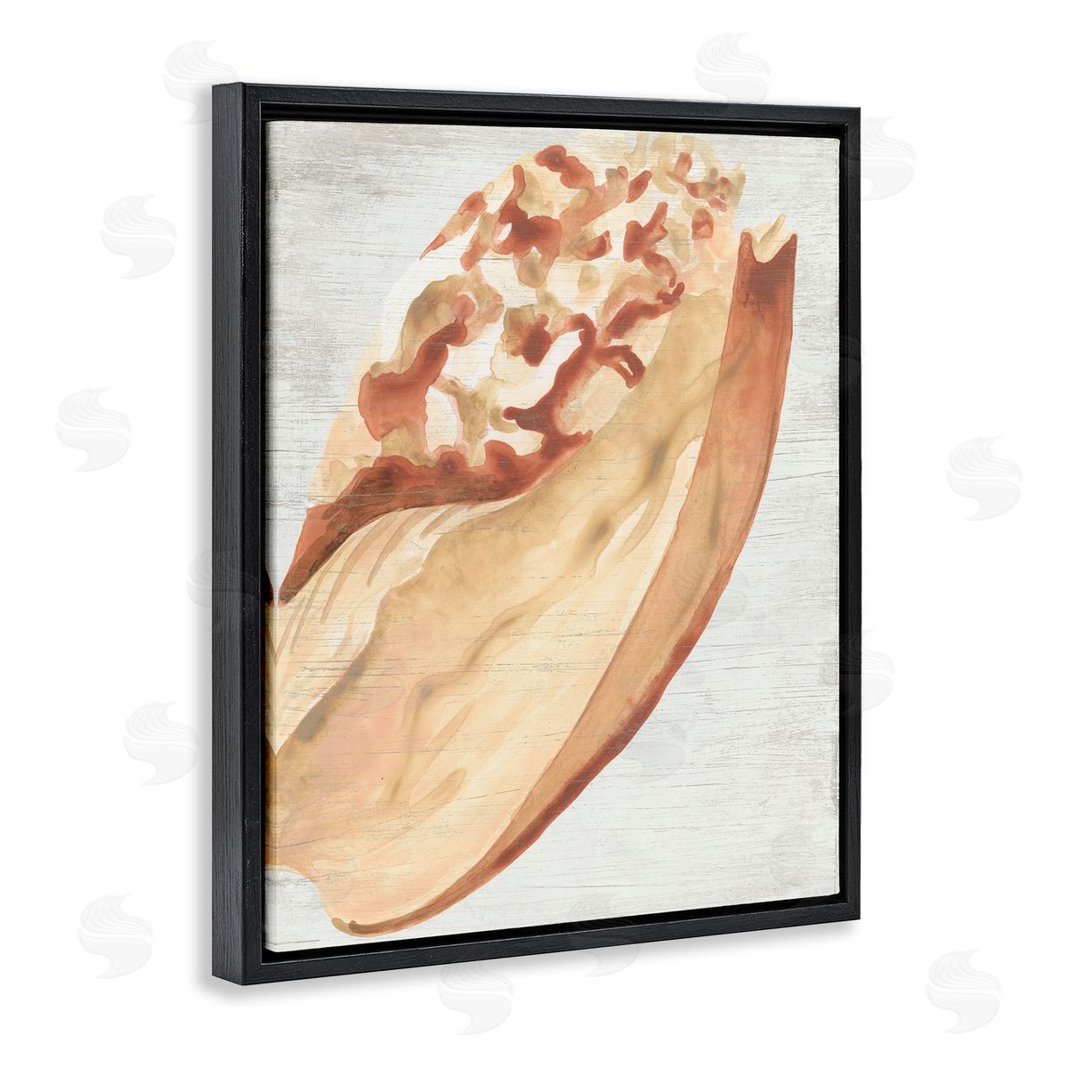 Rustic Beige Shell Black Floating Frame Canvas Wall Art, Home Decor by June Erica Vess